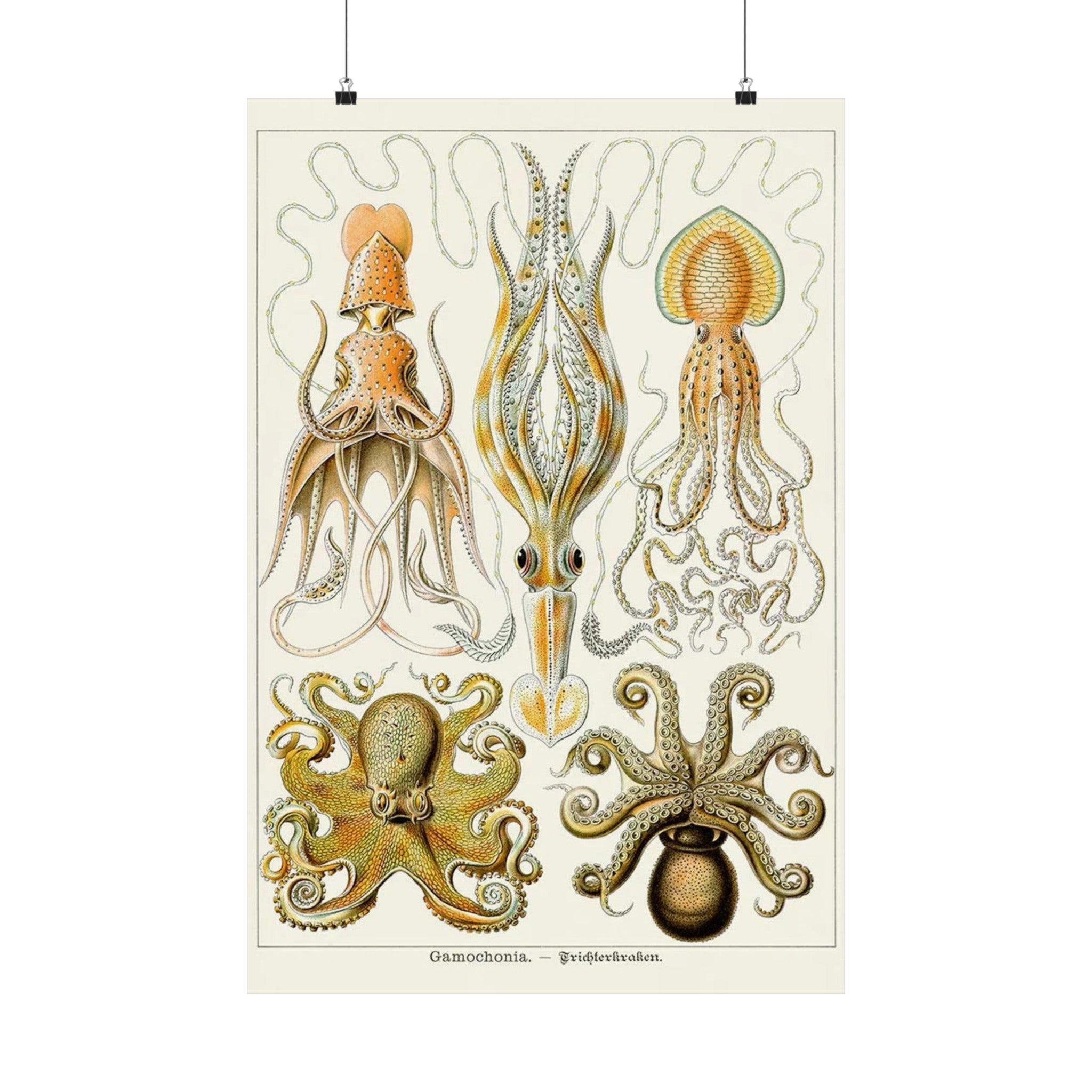 Octopus Gamochonia Retro Wall Print | Vintage Poster | Sea | Ocean | Octopus