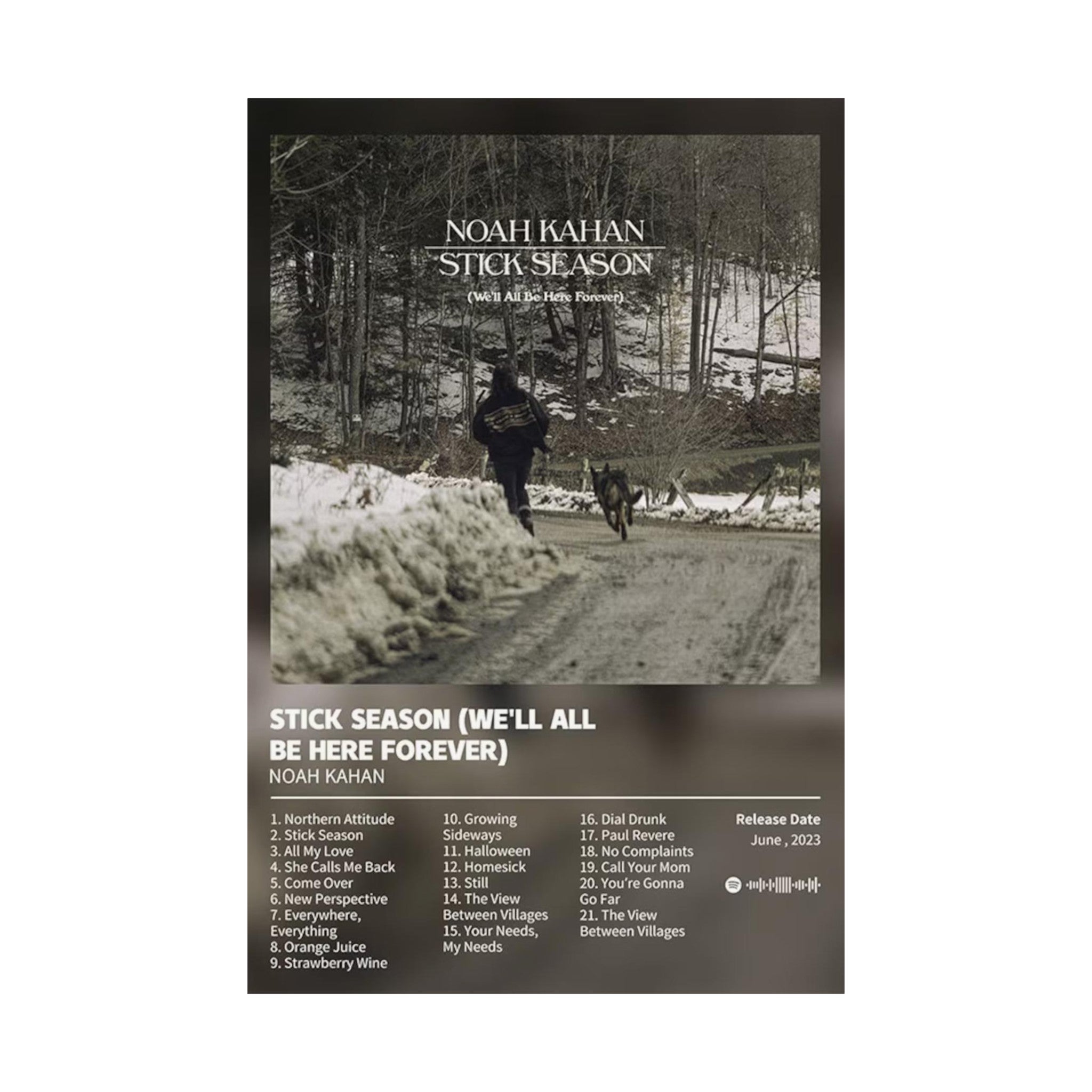 Stick Season (We'll All Be Here Forever) Noah Kahan Music Album Custom Posters, Album Tracklist Poster, Custom Prints, Music Gifts